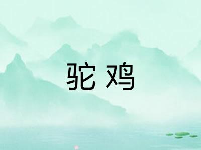 驼鸡