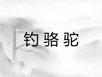 钓骆驼