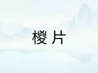 椶片