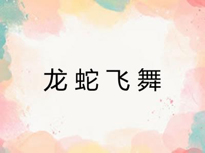 龙蛇飞舞