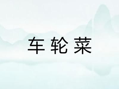 车轮菜