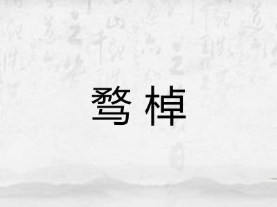 骛棹