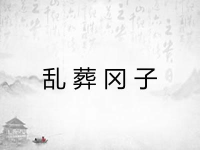 乱葬冈子