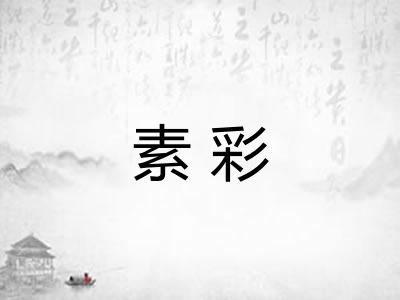 素彩