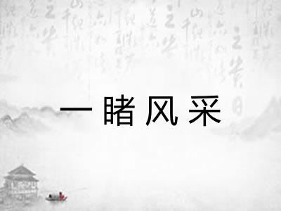 一睹风采