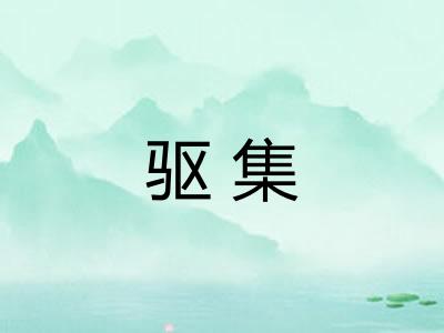 驱集