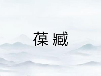 葆臧