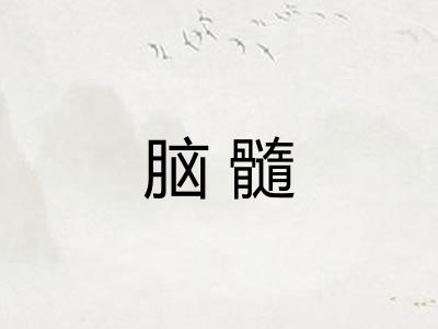 脑髓