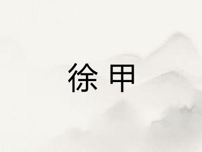 徐甲 徐甲