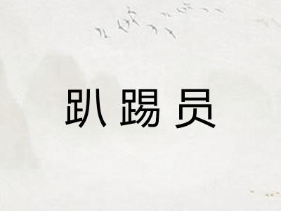 趴踢员