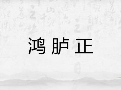 鸿胪正