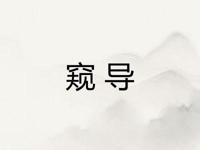 窥导