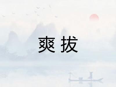 爽拔