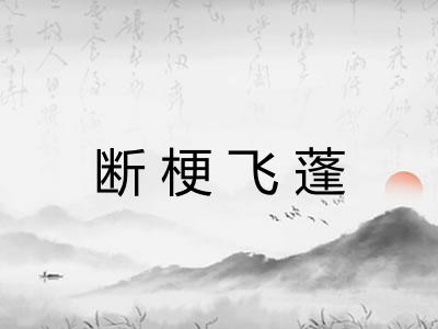 断梗飞蓬