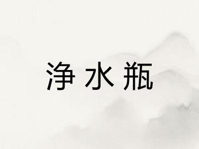 浄水瓶