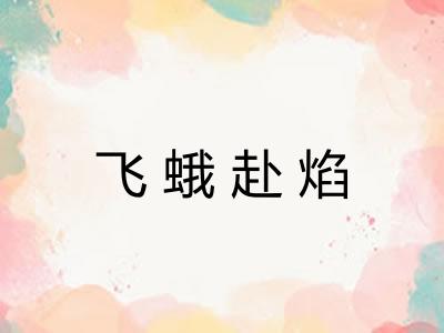 飞蛾赴焰