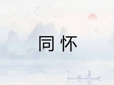 同怀