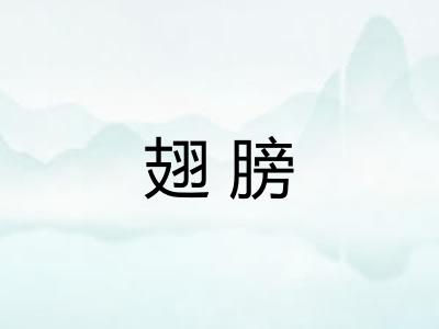 翅膀