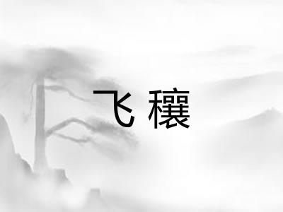 飞穰