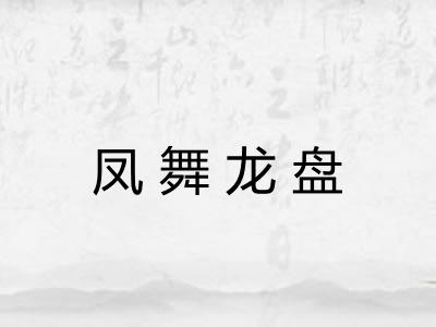 凤舞龙盘