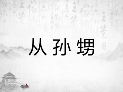 从孙甥