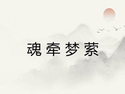 魂牵梦萦