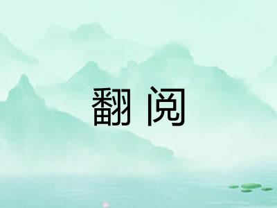 翻阅