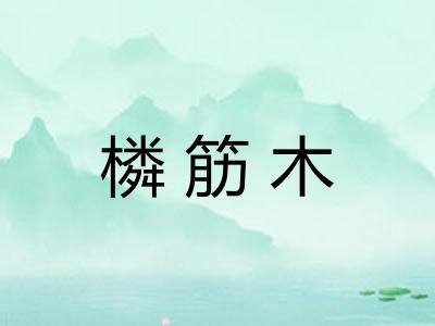 橉筋木