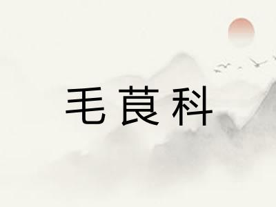 毛茛科