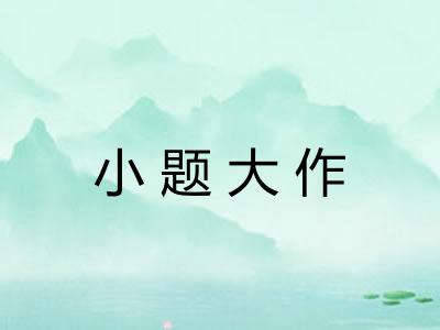 小题大作
