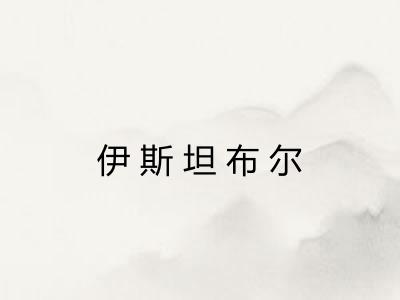 伊斯坦布尔