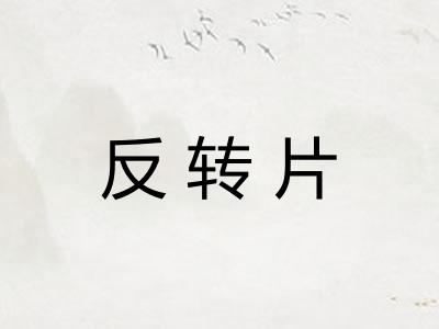 反转片