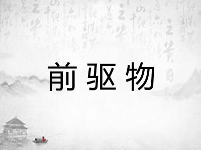 前驱物