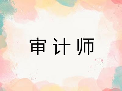 审计师