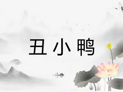 丑小鸭