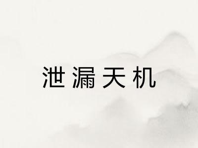 泄漏天机