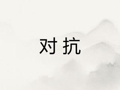 对抗