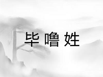 毕噜姓