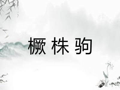 橛株驹