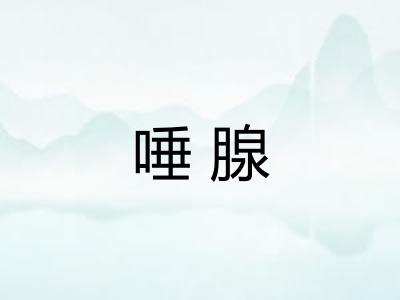 唾腺