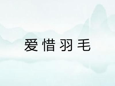 爱惜羽毛