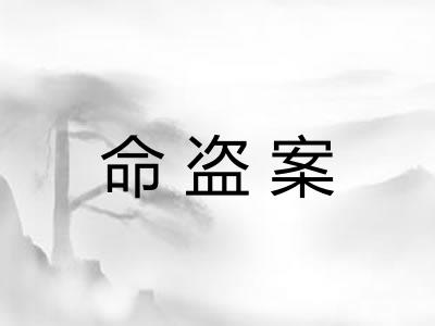 命盗案