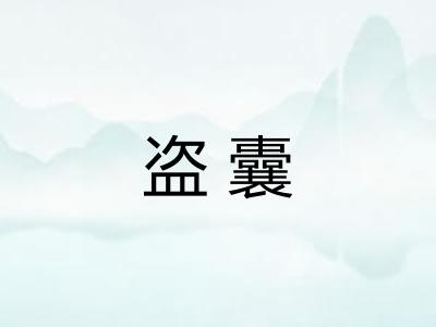 盗囊