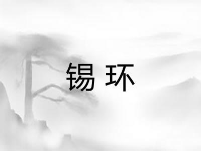 锡环