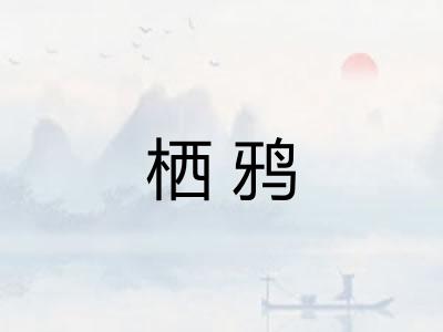 栖鸦