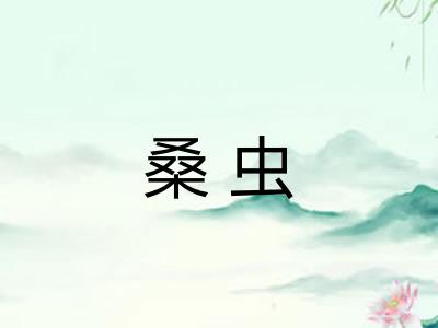 桑虫
