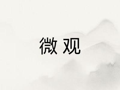 微观