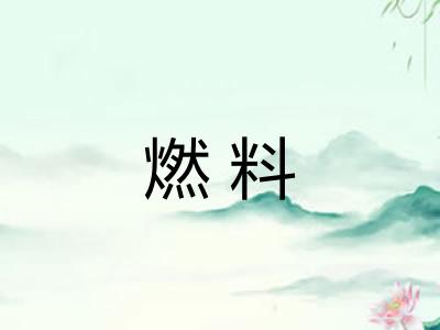 燃料