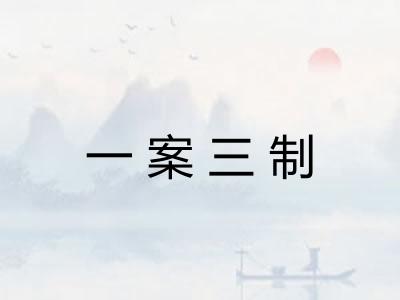 一案三制