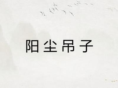 阳尘吊子